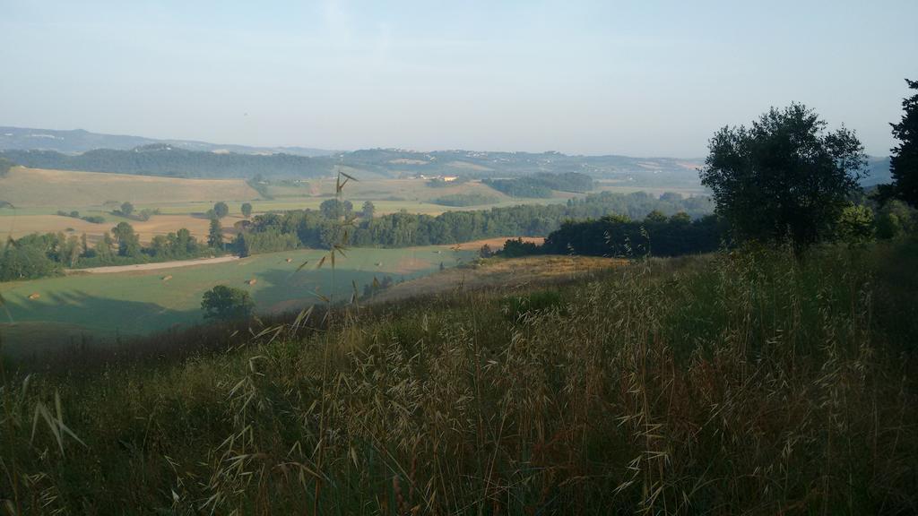 Agriturismo I Moricci Peccioli Bagian luar foto