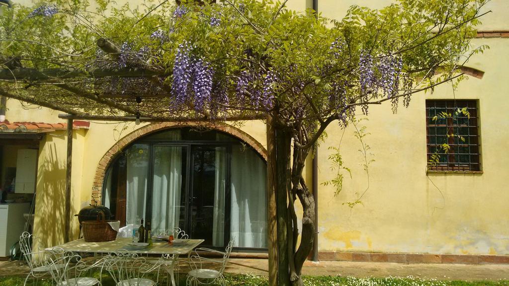 Agriturismo I Moricci Peccioli Bagian luar foto