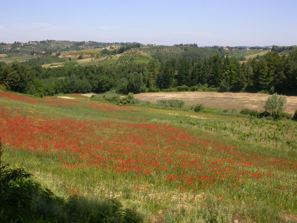 Agriturismo I Moricci Peccioli Bagian luar foto